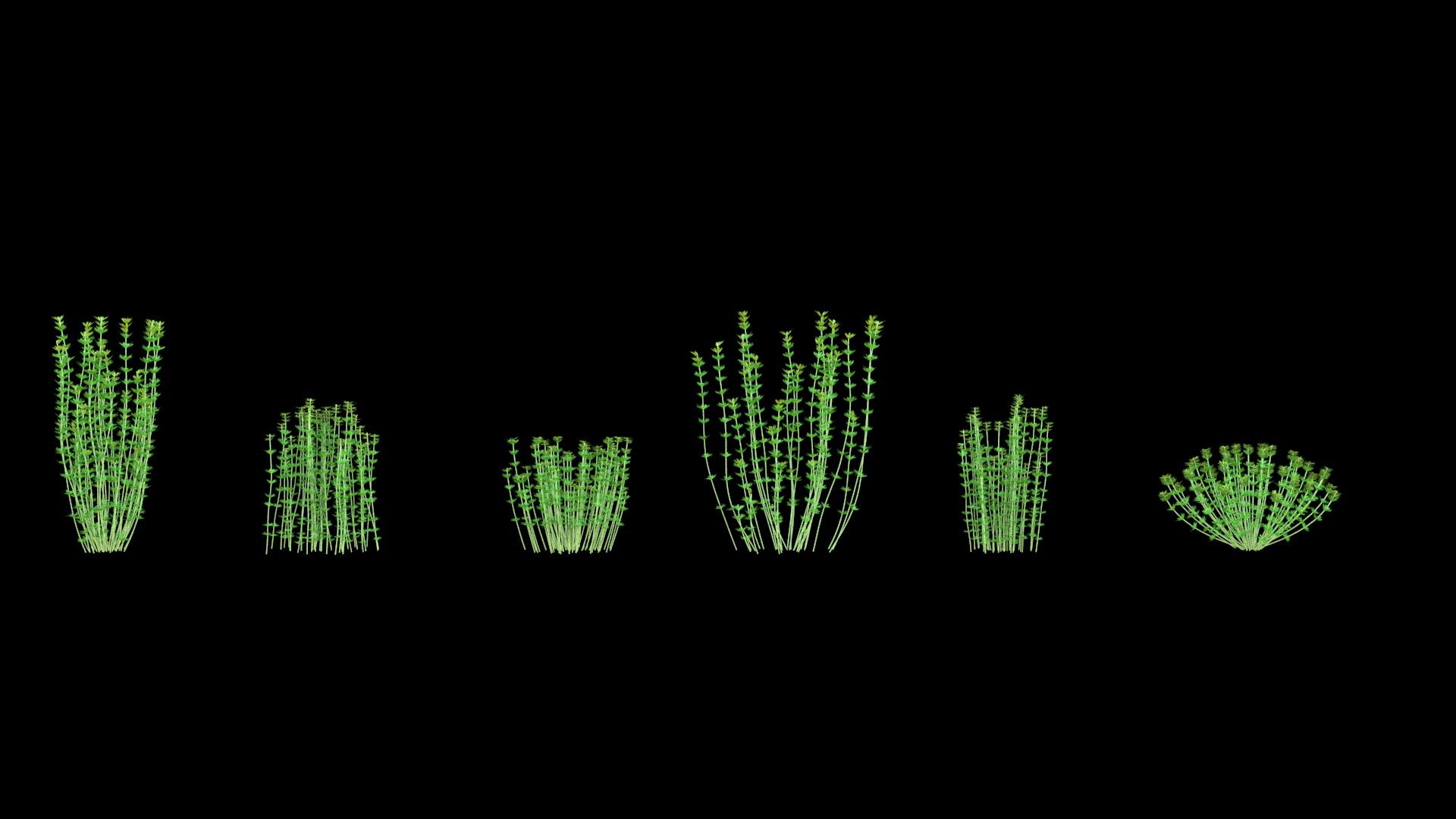 3D model plant shrub https://p.turbosquid.com/ts-thumb/Eb/1R6UpP/10/image01/jpg/1607313745/1920x1080/fit_q87/d510db0c43d660d12c0171f7f3886f9ab1f3dbff/image01.jpg