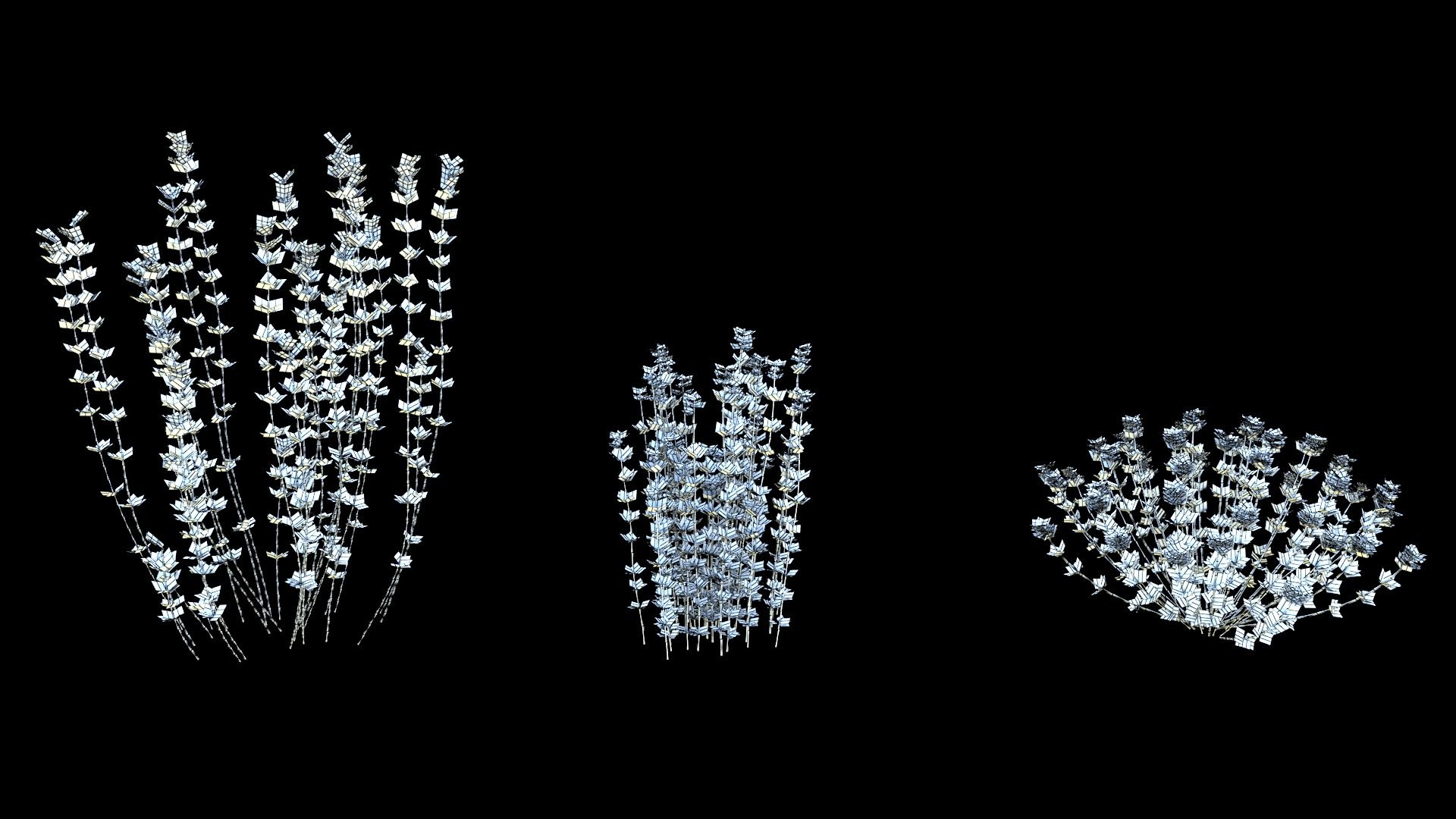 3D model plant shrub https://p.turbosquid.com/ts-thumb/Eb/1R6UpP/be/image05/jpg/1607313744/1920x1080/fit_q87/1cb0676a493db395fb0592c1e2dae82d17c95341/image05.jpg