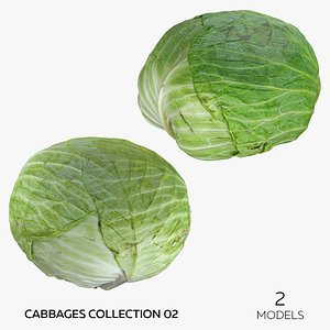 Cabbages Collection 02 - 2 models 3D