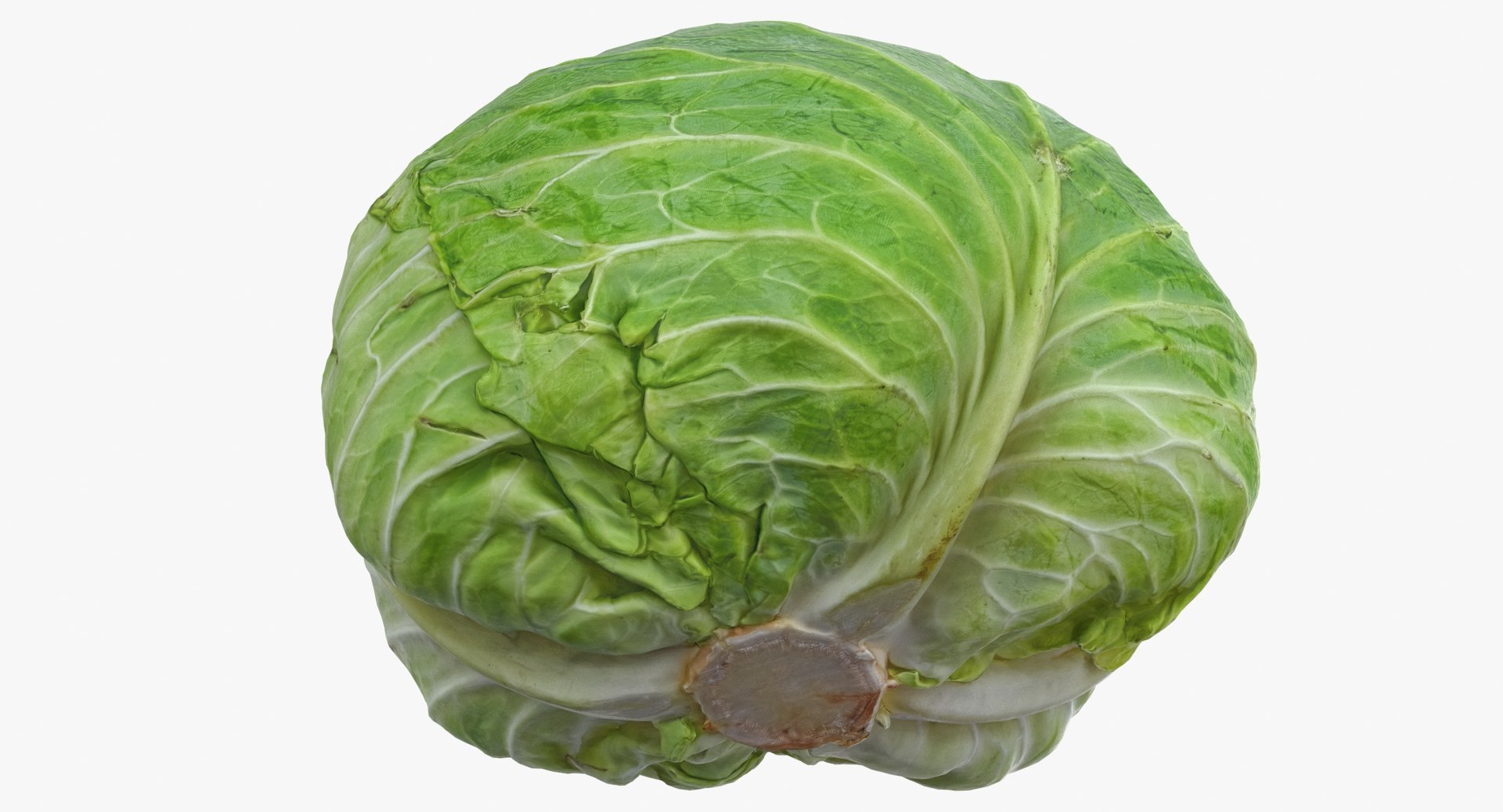 Cabbages Collection 02 - 2 Models 3D - TurboSquid 1876702