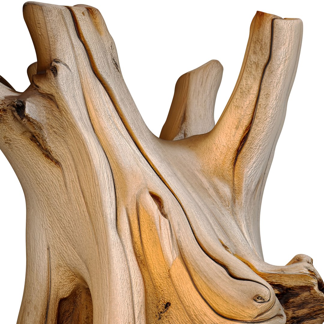 3D Decorative sculptural stump stand driftwood in eco tree root 3D model model https://p.turbosquid.com/ts-thumb/Eb/HcNV0r/9x/3ddd2/jpg/1785772134/1920x1080/fit_q87/722d53acc4d5e0ecd4fe73508f2895bb4f347284/3ddd2.jpg