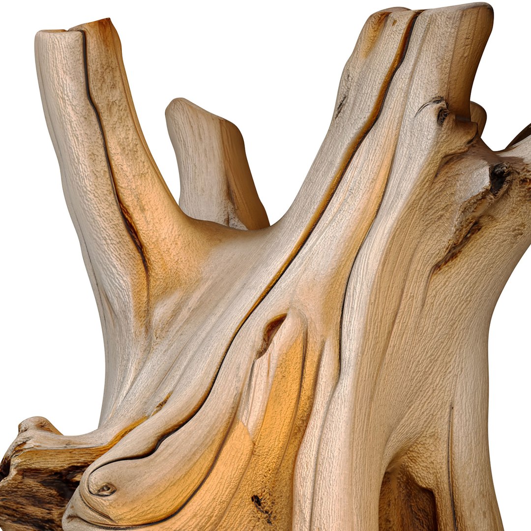 3D Decorative sculptural stump stand driftwood in eco tree root 3D model model https://p.turbosquid.com/ts-thumb/Eb/HcNV0r/zB/vcx1/jpg/1785772139/1920x1080/fit_q87/4bef5c8a1ace28fc245f1600eedad247f2386238/vcx1.jpg