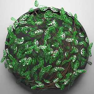 vertical gardening monstera 3D model