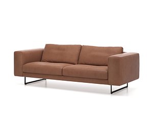 DS-748-53 2-Seater Sofa