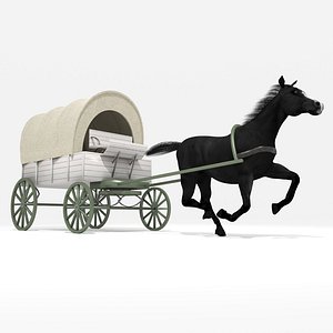 3D model Western Wagon 5 - 8K