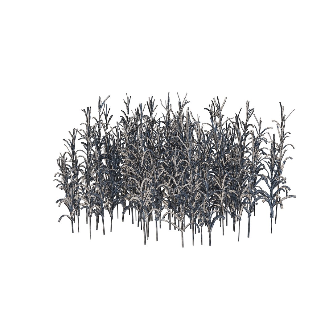 Rigged river cane Cluster 3D model - TurboSquid 2073527