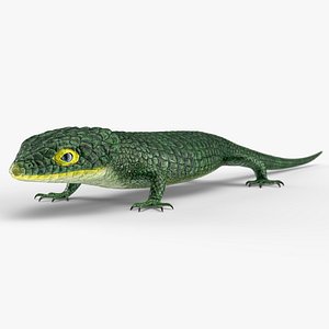 3D Mexican Alligator Lizard Rigged