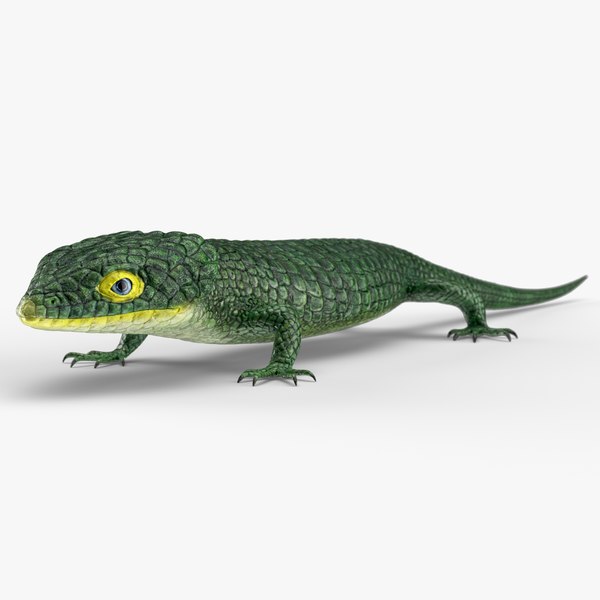 メキシコ トカゲのオブジェクト mqdefault.jpg