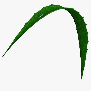 3D model aloe vera petal plant