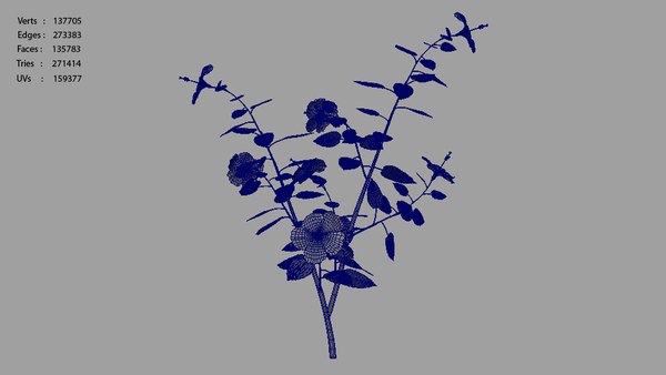 geitonogamy flowering 3d model