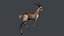 Antílope gazela animado Springbok