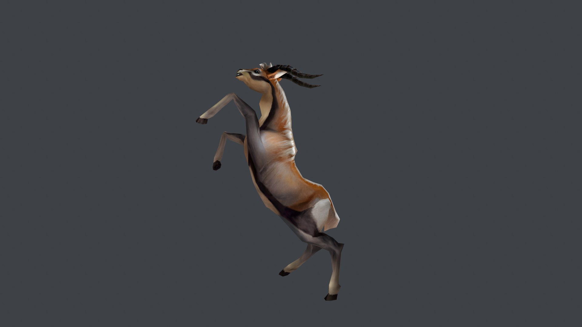 Animated Gazelle Antelope Springbok 3D model https://p.turbosquid.com/ts-thumb/Ec/J7KuGS/1z/screenshot004/png/1757849797/1920x1080/fit_q87/ed27f8bfba0e8ff6b5da7ce4464a5c39c6ec2eca/screenshot004.jpg