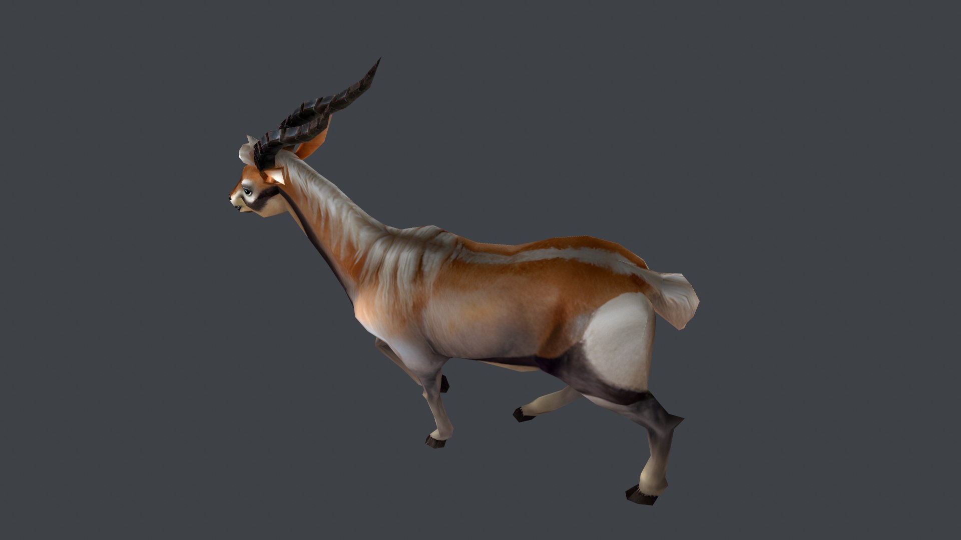 Animated Gazelle Antelope Springbok 3D model https://p.turbosquid.com/ts-thumb/Ec/J7KuGS/7O/screenshot005/png/1757849798/1920x1080/fit_q87/3c25b59425aa99b3edef057c444908234d2edf06/screenshot005.jpg