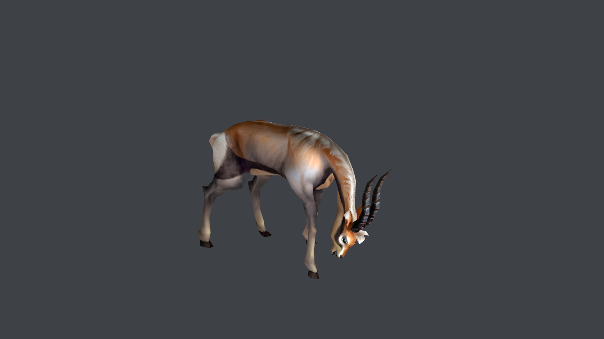 Animated Gazelle Antelope Springbok 3D model https://p.turbosquid.com/ts-thumb/Ec/J7KuGS/BP/screenshot003/png/1757849797/1920x1080/fit_q87/940f6d672d6edaa5cc854023988d6643de25123a/screenshot003.jpg
