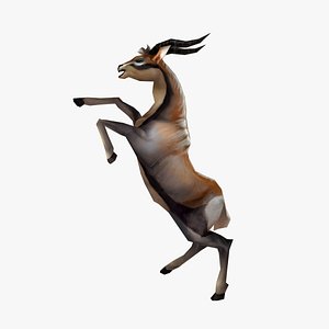 Animated Gazelle Antelope Springbok 3D model