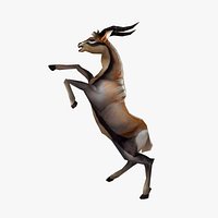Animated Gazelle Antelope Springbok