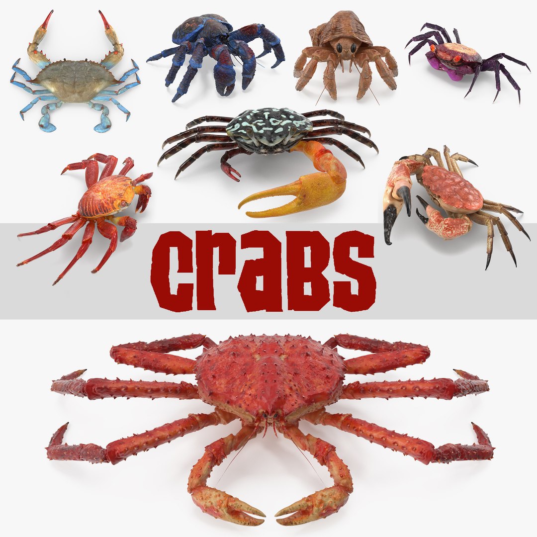 Crabs 3D Models Collection 3 3D model preview