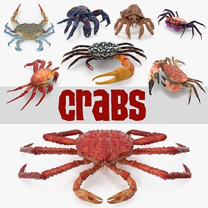 crabs 3 3D model