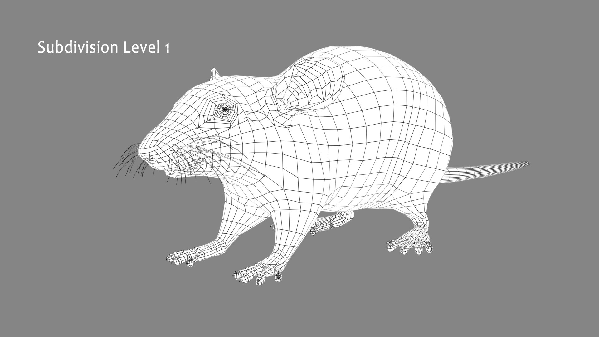 3d Brown Rat Model