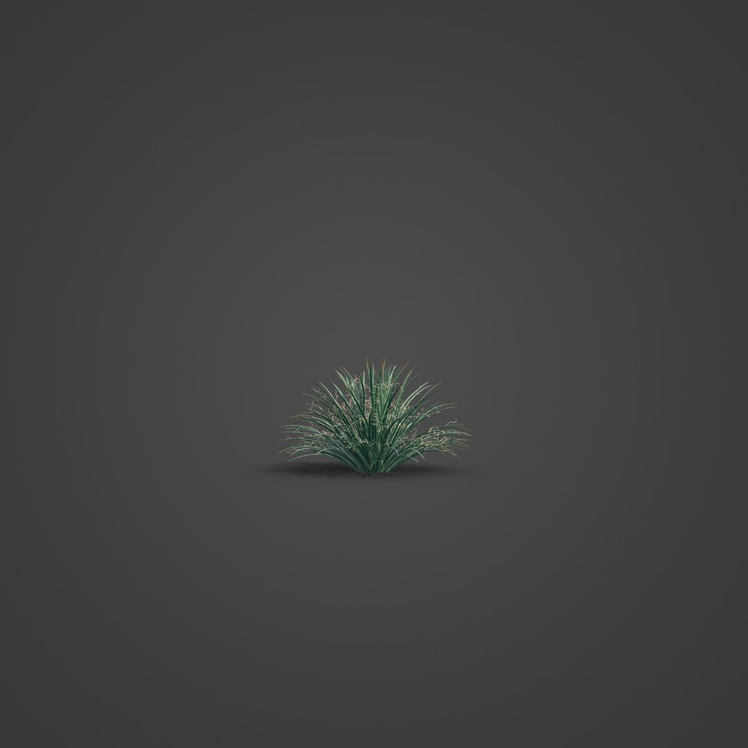 3D 2021 PBR Twin Flowered Agave - Agave Geminiflora https://p.turbosquid.com/ts-thumb/Ec/Xw0ZpJ/9P/sw22_all_rbt_v01_1001/jpg/1625091763/1920x1080/fit_q87/6fcc8b76577c9562e0972e3977f489ce015ba278/sw22_all_rbt_v01_1001.jpg