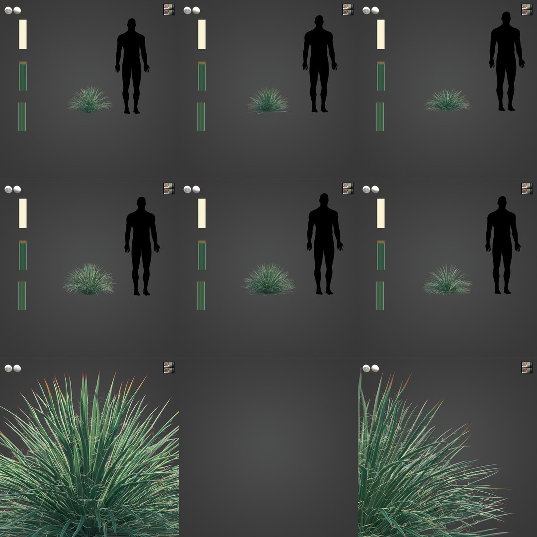 3D 2021 PBR Twin Flowered Agave - Agave Geminiflora https://p.turbosquid.com/ts-thumb/Ec/Xw0ZpJ/S2/sw22_all_grid3x3_v01/jpg/1625091766/1920x1080/fit_q87/8f884b2838abfebf0953765030a6b8e3fe4c07dd/sw22_all_grid3x3_v01.jpg