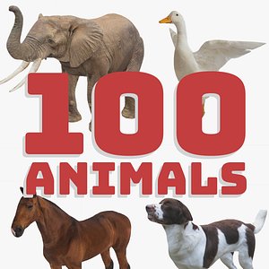 3D 100 Low Poly Animals Rigged With Realistic Textures