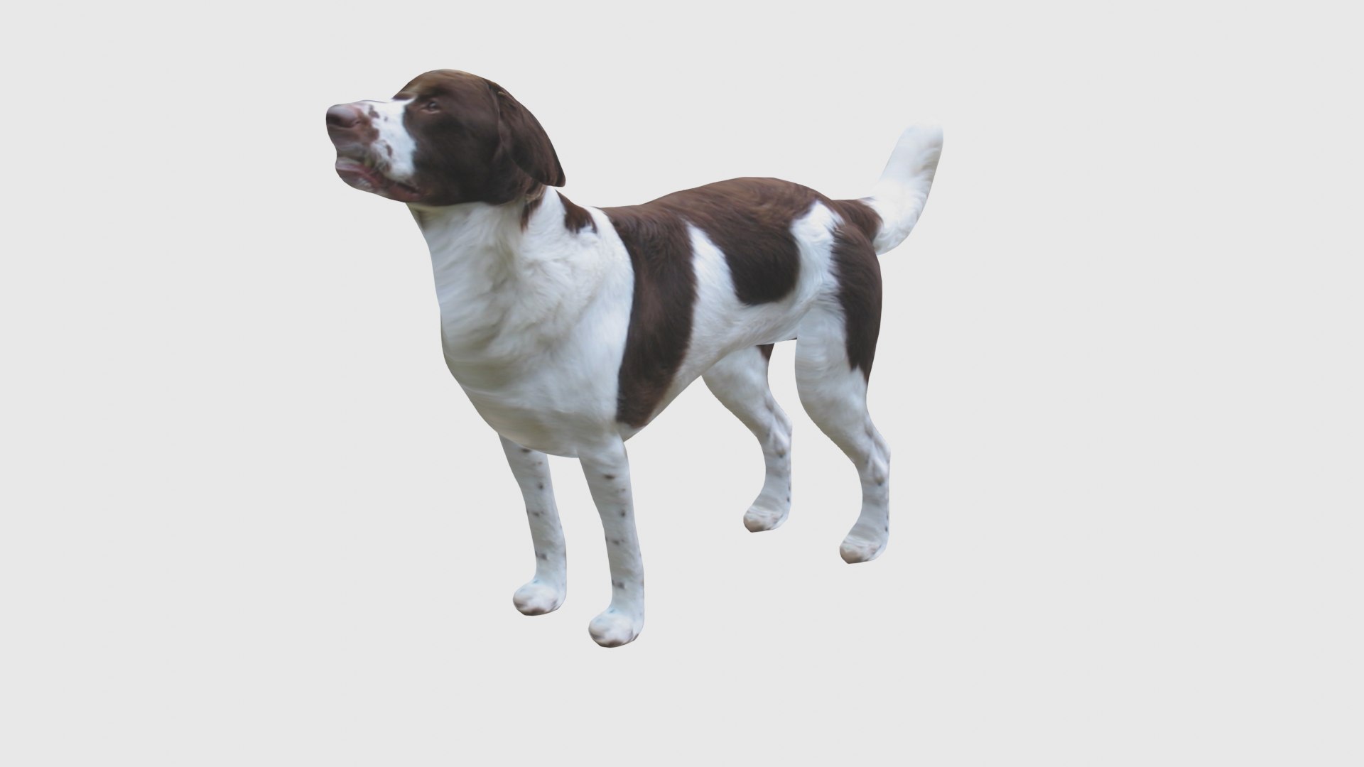 3D 100 Low Poly Animals Rigged With Realistic Textures https://p.turbosquid.com/ts-thumb/Ec/ZeDid3/FO/0003copy/png/1652827478/1920x1080/fit_q87/426f00ec64b0fef262612f72fd38b5252f265b87/0003copy.jpg