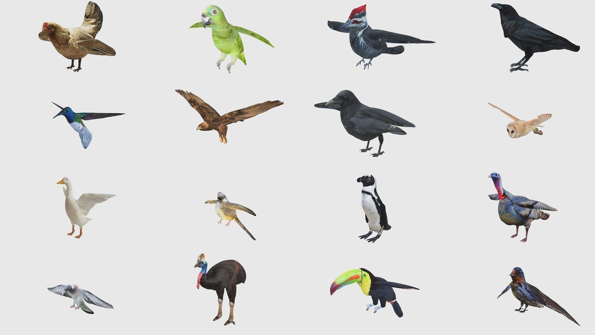 3D 100 Low Poly Animals Rigged With Realistic Textures https://p.turbosquid.com/ts-thumb/Ec/ZeDid3/Sq/102lowpolyanimalsriggedwithrealistictextures3dmodelfbxblend/jpeg/1652825260/1920x1080/fit_q87/2d48dc8ff53f8545b1664778b1b3cd4545f98754/102lowpolyanimalsriggedwithrealistictextures3dmodelfbxblend.jpg