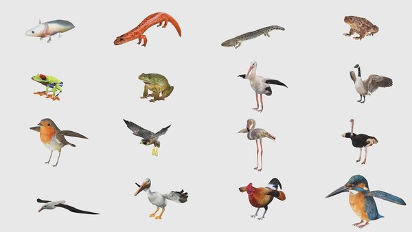 3D 100 Low Poly Animals Rigged With Realistic Textures