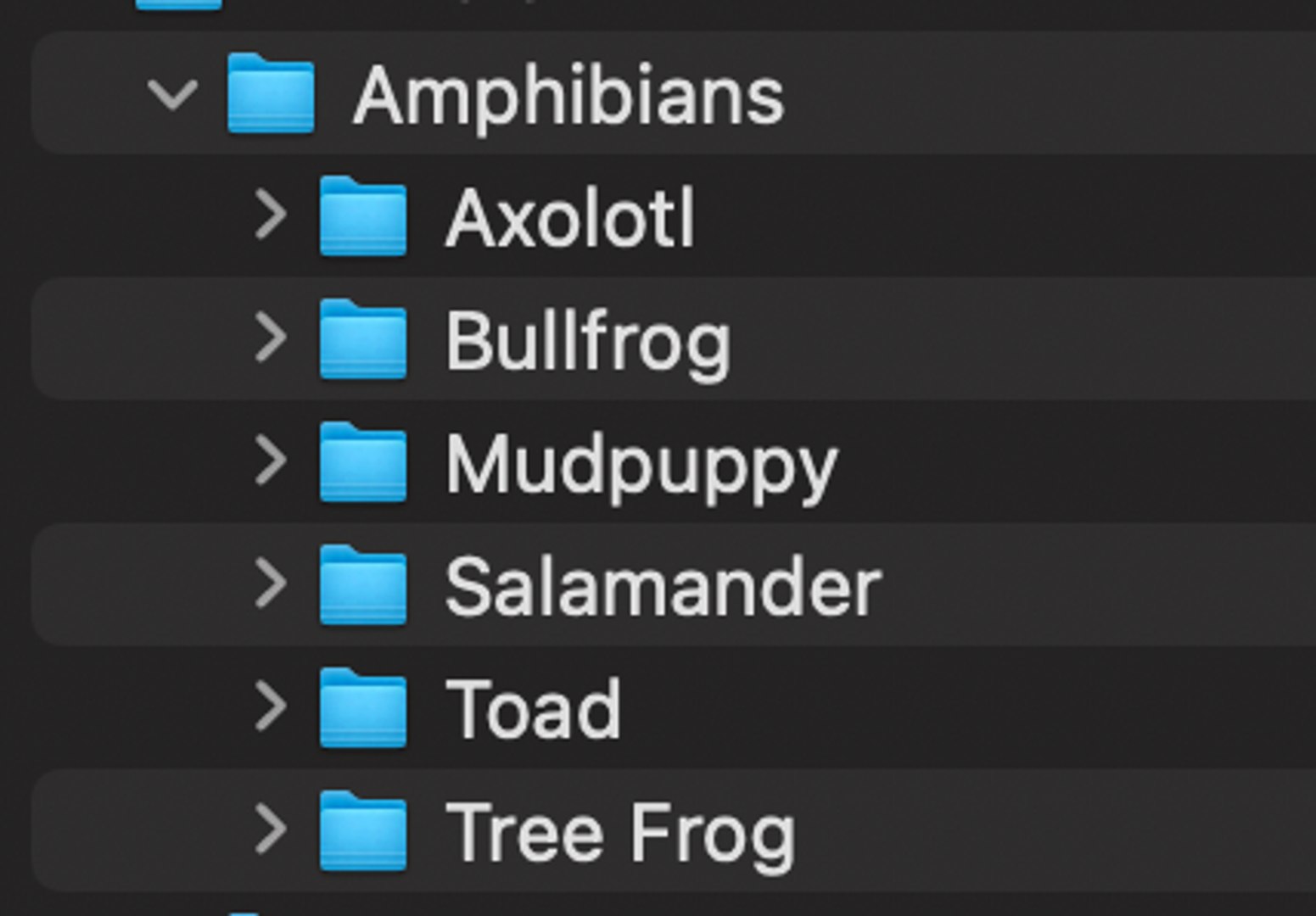 3D 100 Low Poly Animals Rigged With Realistic Textures https://p.turbosquid.com/ts-thumb/Ec/ZeDid3/Zs/screenshot20220517at23.48.12/png/1652827765/1920x1080/fit_q87/82829707e77ce20e749a63c02174a785fbdb8855/screenshot20220517at23.48.12.jpg