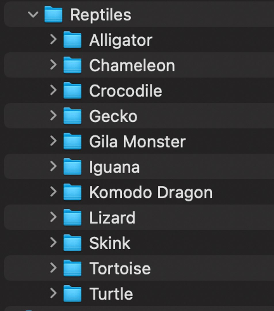 3D 100 Low Poly Animals Rigged With Realistic Textures https://p.turbosquid.com/ts-thumb/Ec/ZeDid3/vs/screenshot20220517at23.49.00/png/1652827764/1920x1080/fit_q87/88753770f72d0366413dd344da1423b45efa6c36/screenshot20220517at23.49.00.jpg