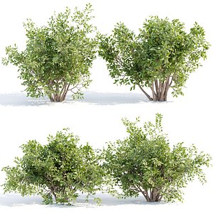 bushes 4 collection vol 110-3dmodel