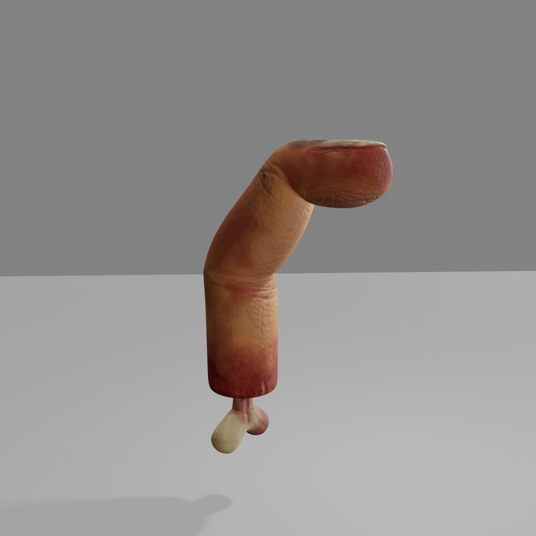 Rigged human chopped finger model https://p.turbosquid.com/ts-thumb/Ec/n15qgO/po/preview4/png/1670960682/1920x1080/fit_q87/dfa34e0e3af188cf7d3353fc5c3e11f60123305e/preview4.jpg