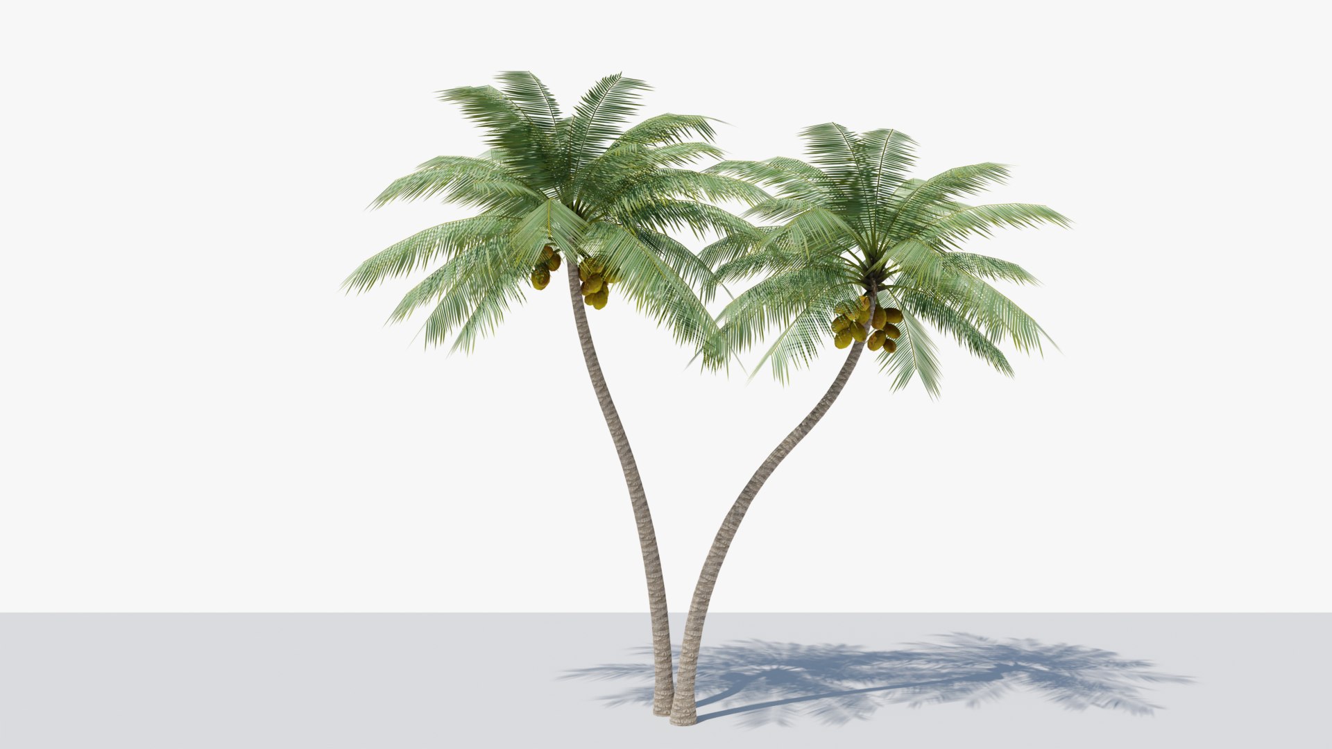 3D model Lowpoly Coconut Palm v5 https://p.turbosquid.com/ts-thumb/Ec/tKnTos/38/01/png/1679999209/1920x1080/fit_q87/140597bd033ced00e6b9dd04e14b9a04dd1b04b0/01.jpg