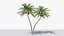 3D model Lowpoly Coconut Palm v5