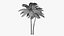 3D model Lowpoly Coconut Palm v5