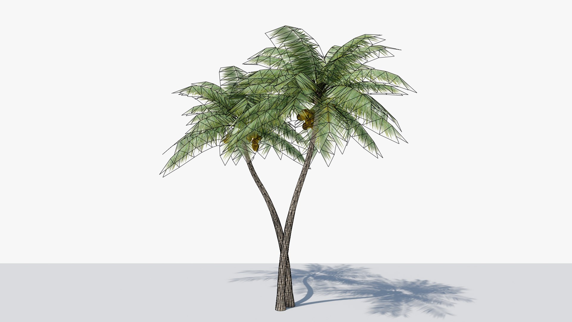 3D Model Lowpoly Coconut Palm V5 - TurboSquid 2048023