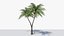 3D model Lowpoly Coconut Palm v5