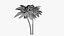 3D model Lowpoly Coconut Palm v5