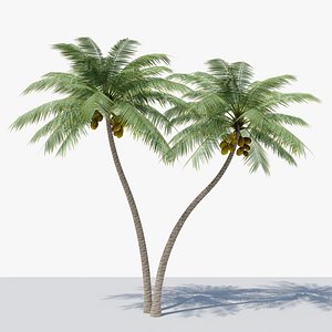 Lowpoly Coconut Palm v5