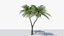 3D model Lowpoly Coconut Palm v5