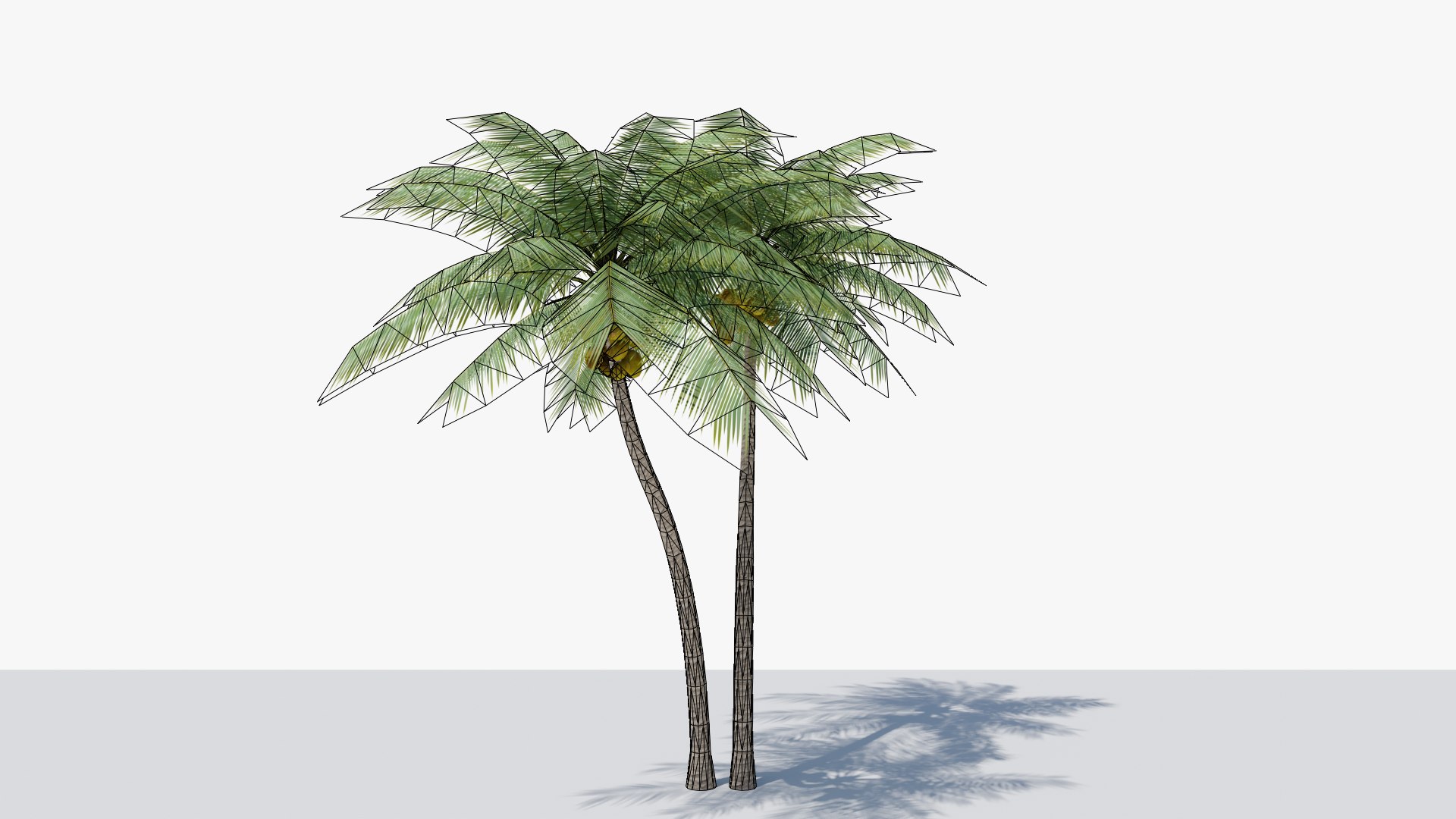 3D Model Lowpoly Coconut Palm V5 - TurboSquid 2048023