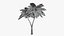 3D model Lowpoly Coconut Palm v5