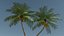 3D model Lowpoly Coconut Palm v5