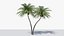 3D model Lowpoly Coconut Palm v5