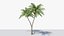 3D model Lowpoly Coconut Palm v5