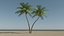 3D model Lowpoly Coconut Palm v5