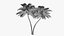 3D model Lowpoly Coconut Palm v5