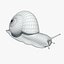 Snail (Helix Pomatia)