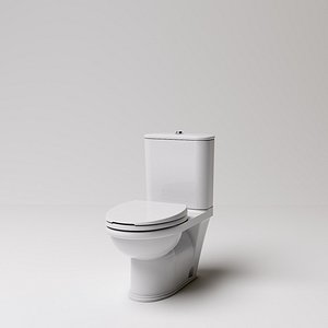 toilet 3D